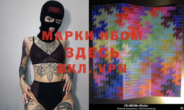 шишки Лабытнанги
