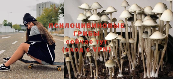 первитин Кукмор