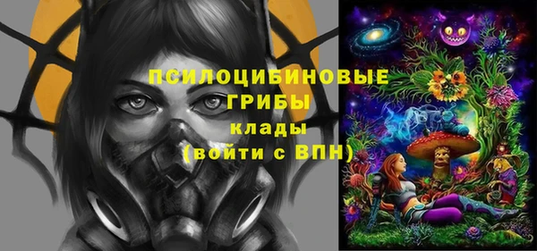 шишки Лабытнанги