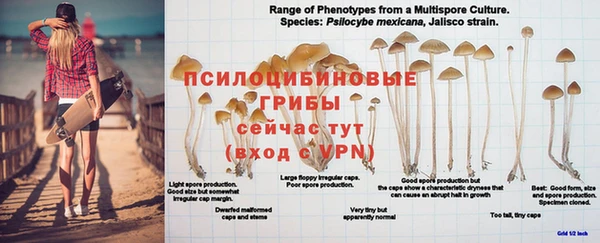 гидра Куйбышев