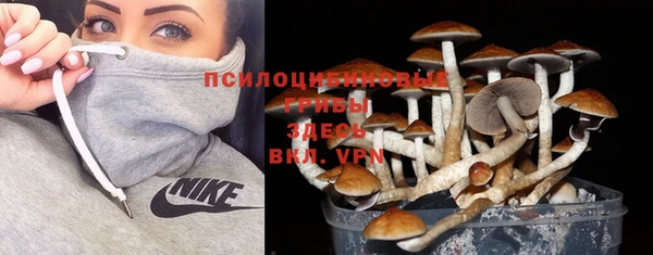 дурь Кулебаки