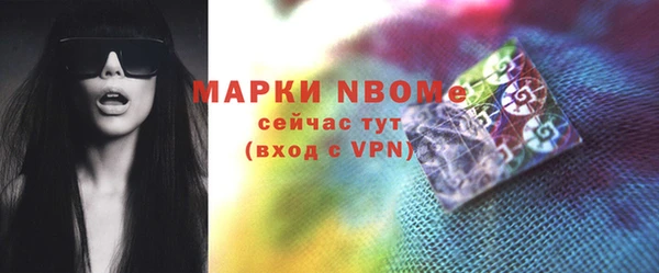 шишки Лабытнанги