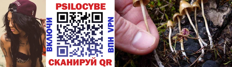 Псилоцибиновые грибы мухоморы даркнет формула Мелеуз